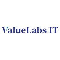 value labs it logo image