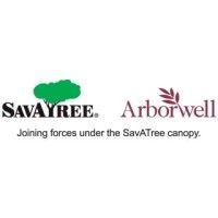 savatree western region logo image