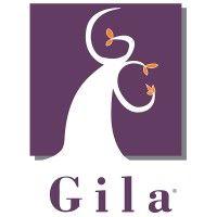 gila - a navient company logo image