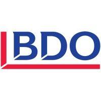 bdo cayman islands logo image