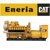 eneria cat polska logo image