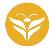 firefly wealth management, llc logo image