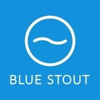 bluestout.com - ecommerce experts logo image