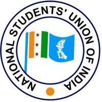 nsui logo image