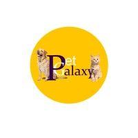 pet galaxy logo image