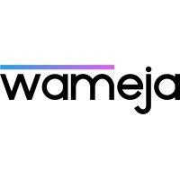 wameja limited logo image