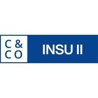 insu acquisition corp. ii logo image