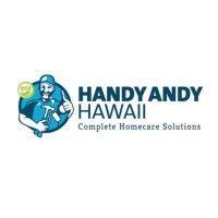 handy andy hawaii logo image