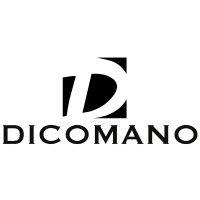 dicomano logo image