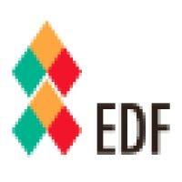 ethiopian diaspora fellowship logo image