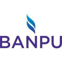 banpu public company limited logo image