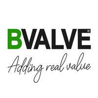 bvalve flow, systems & controls logo image