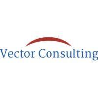 vector consulting logo image