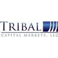 tribal capital markets, llc logo image