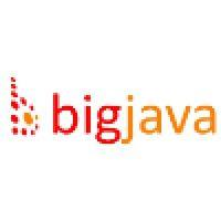 bigjava logo image