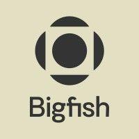 bigfish logo image