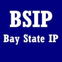 bay state ip, llc logo image