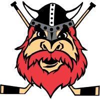 nybro vikings if logo image