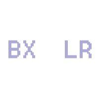 bx lr ltd. logo image