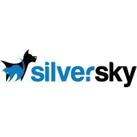 silversky - delivering wow! logo image