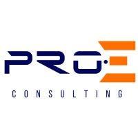 pro e consulting logo image