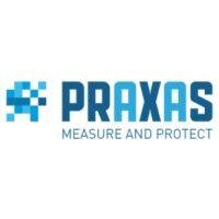 praxas b.v. logo image