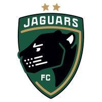 michigan jaguars football club logo image