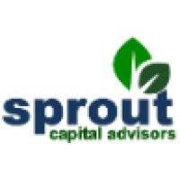 sprout capital advisors llp