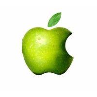 apple holidays logo image