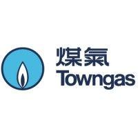 the hong kong and china gas company limited (towngas) logo image