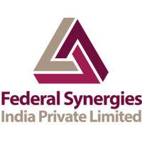 federal synergies india private limited logo image