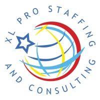 xl pro staffing and consulting group logo image