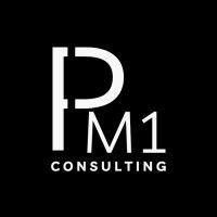 pm1 consulting - freelance project management