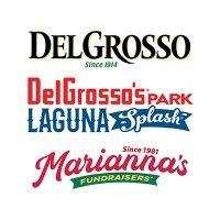 delgrosso family of companies logo image