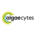 logo of Algaecytes