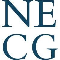 the new england consulting group logo image