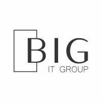 bsg it group logo image