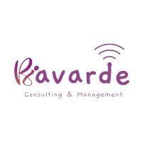 bavarde consulting & management logo image