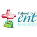 logo of Palmetto Ent Allergy