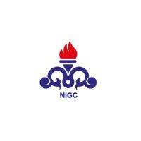 national iranian gas company logo image