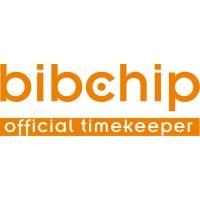 bibchip gmbh logo image