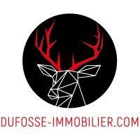 dufossé immobilier logo image