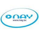 logo of Nay A S