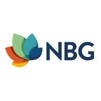 nbg ingenieure ag logo image