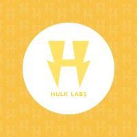 hulk labs logo image