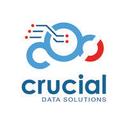 logo of Crucial Data Solutions Inc