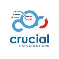 crucial data solutions, inc. logo image