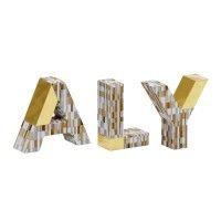 aly logo image