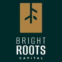 bright roots capital logo image