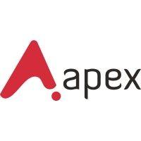 apex executive search logo image